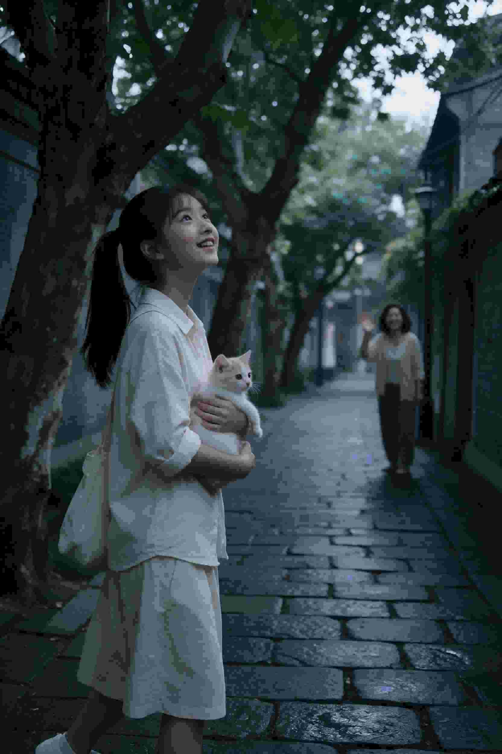 冰菓